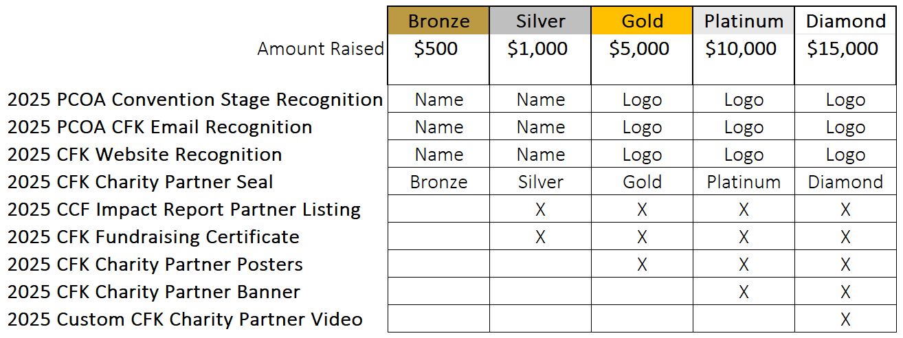 pcoa-cfk-Fundraising-table Fundraising tiers table for Compete for kids with Care Camps Foundation and Pennsylvania Campground Owner's Association