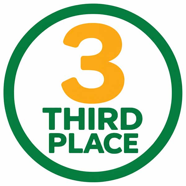 Green bordered circle with text "3 Third Place" inside